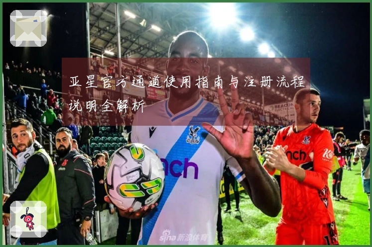 亚星官方通道使用指南与注册流程说明全解析