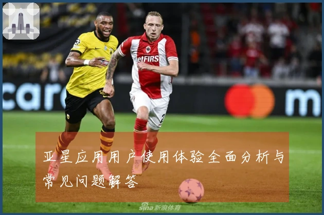 亚星应用用户使用体验全面分析与常见问题解答