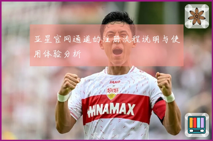 亚星官网通道的注册流程说明与使用体验分析