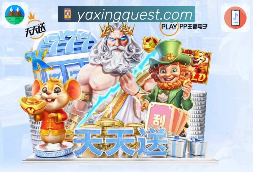 奖项证书